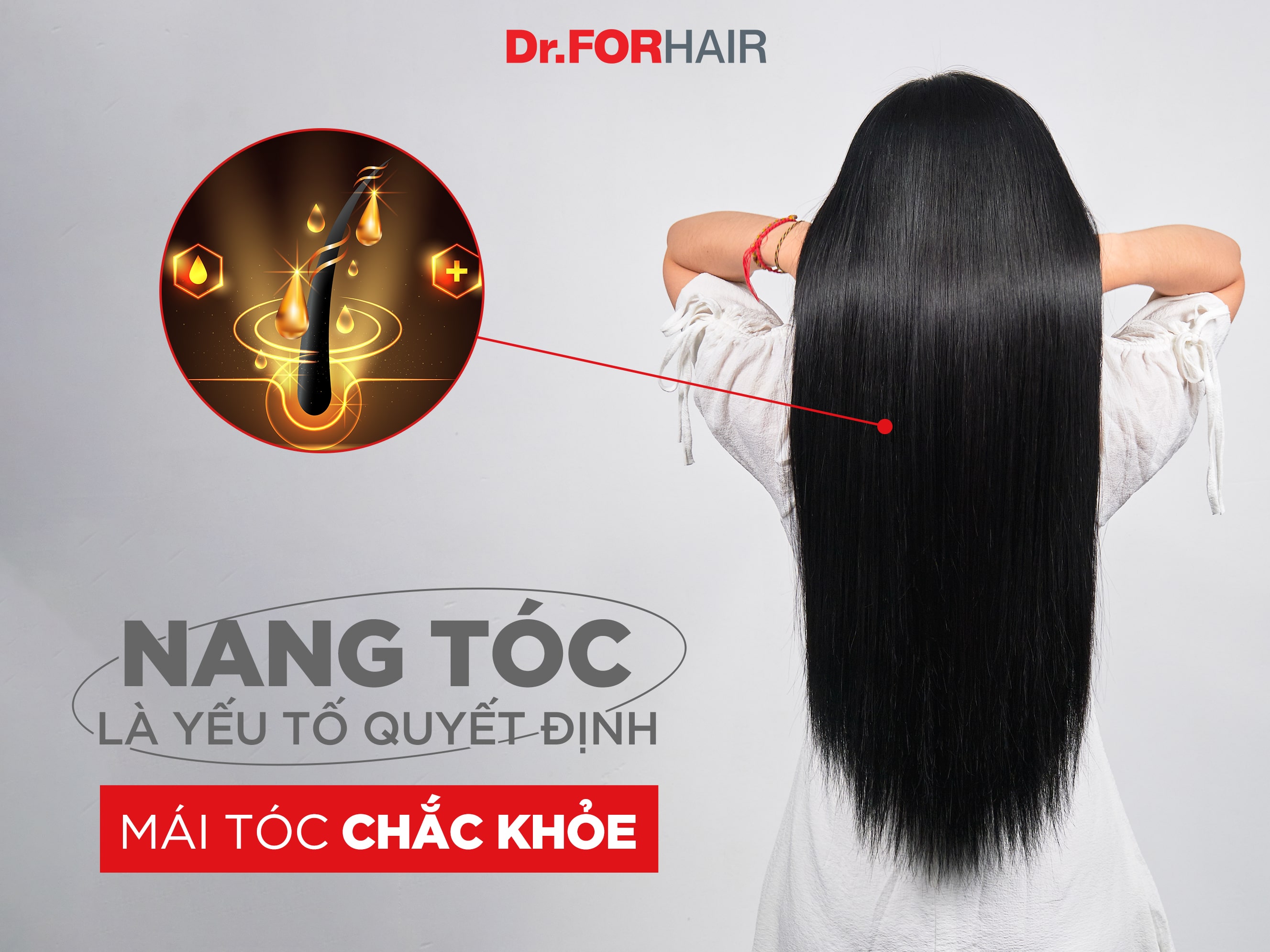 Nang tóc phải đủ dinh dưỡng thì tóc mới chắc khỏe