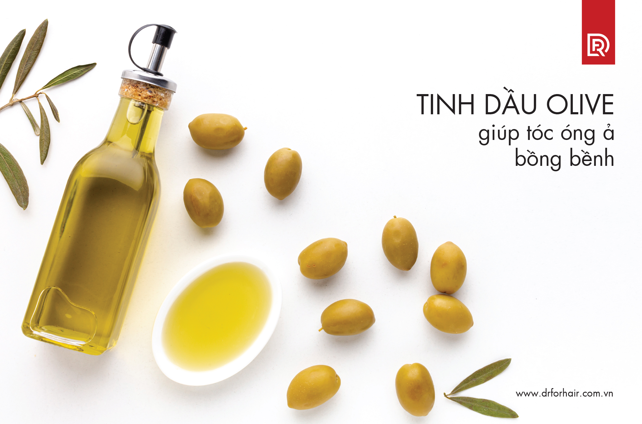 Tinh dầu olive giúp tóc óng ả bồng bềnh