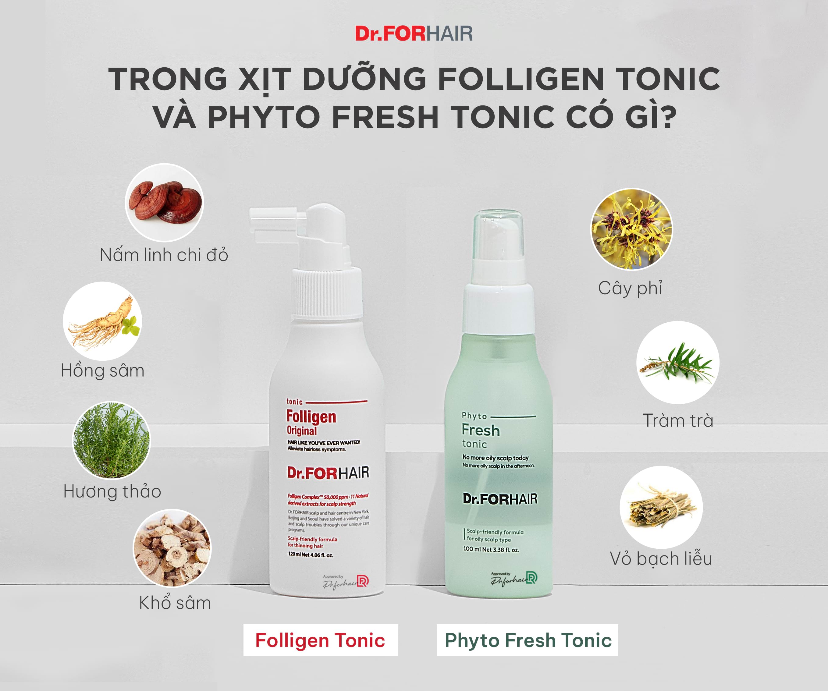 Các thành phần tự nhiên quý giá có trong 2 loại xịt dưỡng Folligen Tonic và Phyto Fresh Tonic 