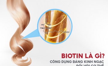 Biotin là gì? Công dụng của Biotin đối với cơ thể quan trọng như thế nào?